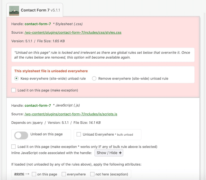 Deciding where to unload the CSS sheet for better performance - Source: Asset Clean Up
