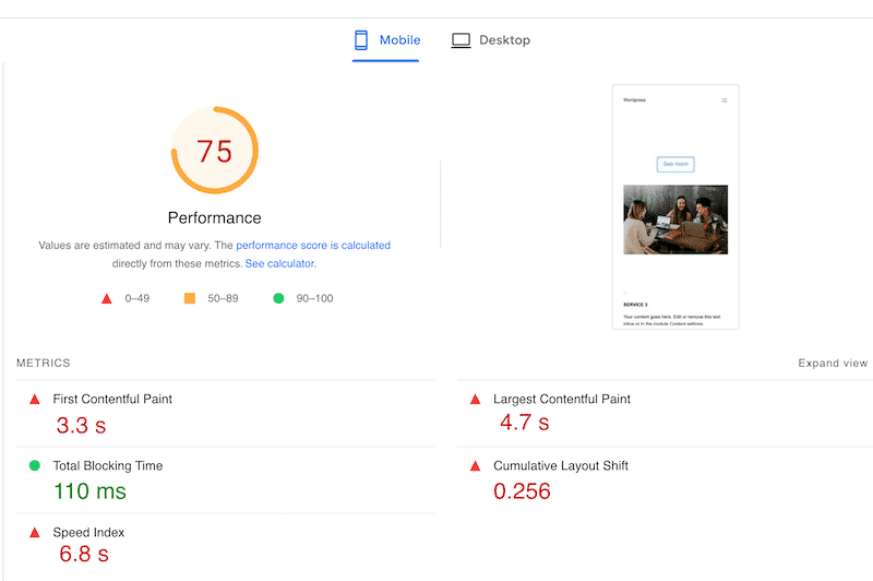 Divi’s KPIs - Source: PageSpeed Insights
