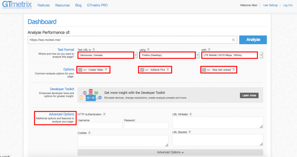 GTMetrix screen - complete settings 