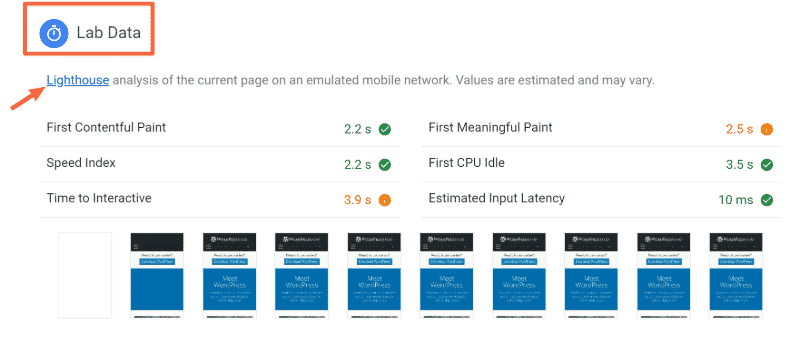 how to read lab data by lighthouse